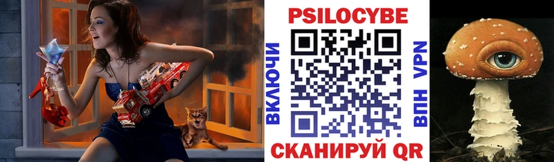 Галлюциногенные грибы Cubensis  наркошоп  Будённовск 